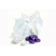 La Bourse Barok - Barok Pure