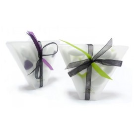 Le Cornet Vanille Translucide