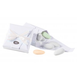 Custom box with simple ribbon (Argent)